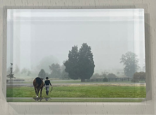 Equestrianne misty morning
